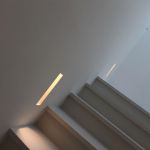 IMG 4731