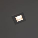 IMG 4870